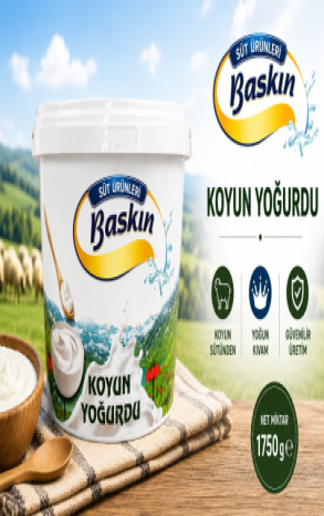 BASKIN YOĞURT
